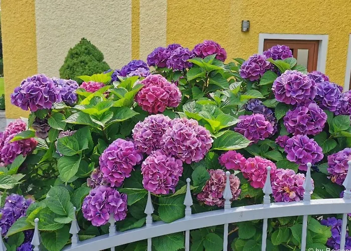 Komfortable Mit Garten Und Grill By Interhome Apartamento Gleißenberg